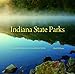 Indiana State Parks: A Centennial Celebration (Indiana Natural Science)
