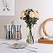 T·G·Y Salt and Pepper Grinder Set with Stand Salt Pepper Mill Salt & Pepper Shakers Salt Grinders