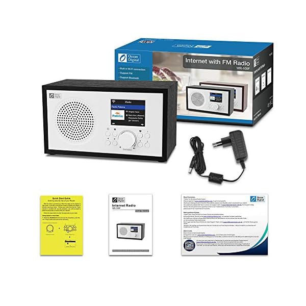 Ocean Digital WR100FX Radio x con Bluetooth Negro Importar de Miami