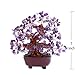 VOVOV 7 Inch Purple Crystal Money Tree Feng Shui Natural Amethyst Quartz Gem Stone Money Tree