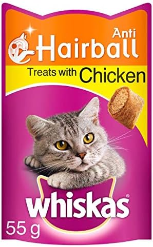 puppy potty training 101