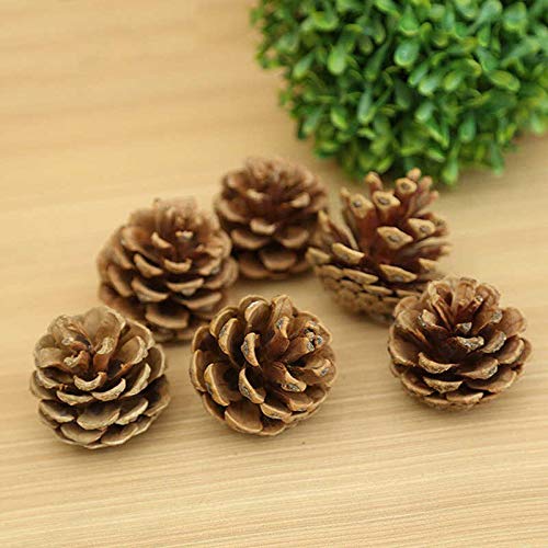 Buy Ascension 4.5cm Natural Pine Cone Wooden Cones Hanging Pinecone for