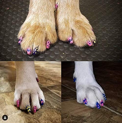 dog nail polish