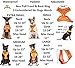 NO Dogs (Not Good with Other Dogs) Orange Colour Coded Non-Pull Front and Back D Ring Padded and Waterproof Vest Dog Harness Prevents Accidents by Warning Others of Your Dog in Advance (L)