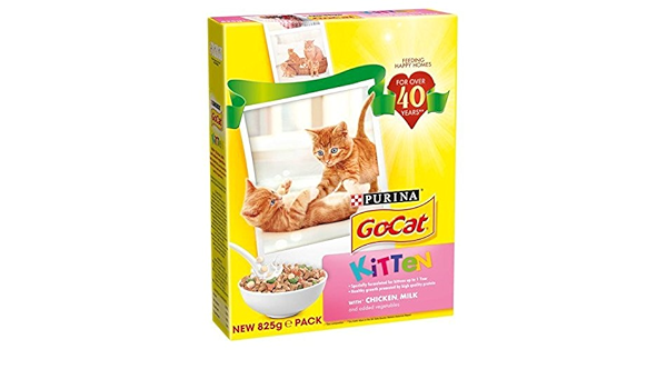 go cat kitten food
