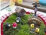 Ginsco Miniature Fairy Garden Dollhouse Villa Style DIY kit