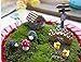 Ginsco 8pcs Miniature Fairy Garden Dollhouse Villa Style DIY Kit