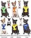 DEAF DOG Dexil Friendly Dog Collars Color Coded Dog Accident Prevention Leash 4ft/1.2m Prevents Dog Accidents By Letting Others Know Your Dog In Advance Award Winning