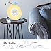 Alarm Clock, Monokuchi Sunrise Alarm Clock 6 Nature Sounds Alarm Clocks FM Radio Digital Clock Touch Control With USB Charger Wake up Light for Bedrooms