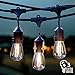 Vintage Outdoor String Lights Kit, 2W S14 LED Filament Bulbs Included, 48Ft Long Garden Patio Edison LED String Lights with 15 Hanging Sockets, Weatherproof Commercial Grade Heavy Duty, UL listed.