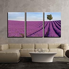 3 Piece Canvas Wall Art - Rich Lavender Field in Provence, France, with a Lone Tree in The Background - Modern Home Art Stretched and Framed Ready to Hang - 16"x24"x3 Panels