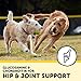 Smartypaws Dog Supplements- Glucosamine & Chondroitin + MSM For Joint Support, Fish Oil Omega 3 (Epa & Dha), Probiotics, Organic Turmeric: Senior Small Breed - By Smartypants Vitamins - 60 Ct