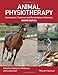 Animal Physiotherapy: Assessment, Treatment and Rehabilitation of Animals