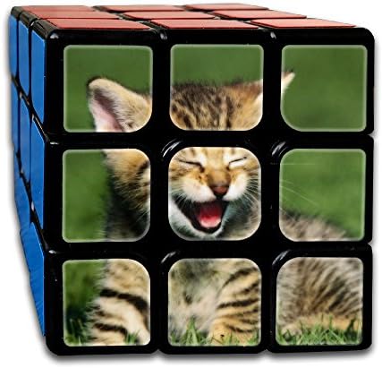 Smooth Sequential Puzzle Toy Tiger House Cat Speed Cube Standard 3x3 Speedcubing Puzzle, IQ Games Puzzles