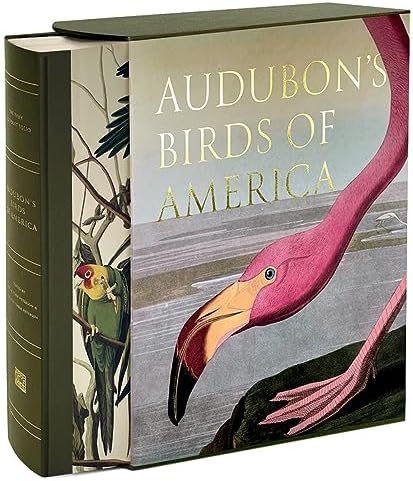 Amazon.com: Bird: 9780811870986: Zuckerman, Andrew: Books