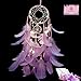 LED Dream Catcher Purple Feather Chandelier Ornaments Handmade Indian Wall Decoration for Wall Decor Hanging Home Decor 20 inch (Purple +Lights)