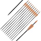 Elong Fiberglass Arrows Archery 26 Inch Target Shooting Practice Safetyglass Recurve Bows Suitable for Youth Children Woman Beginner (12 pcs)