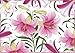 Caspari Entertaining Lilies Assorted Blank Notecards, Box of 8