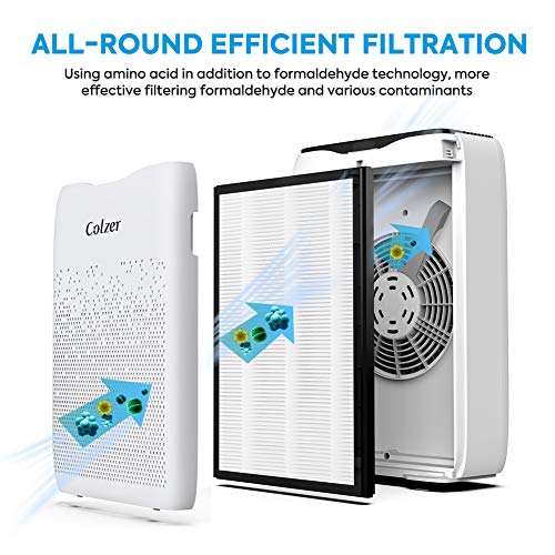 COLZER Air Purifier with True HEPA Air Filter, Air Purifier for Large Room, for Spaces Up to 650 Sq Ft, Perfect for Home/Office with Filter (EPI-186)