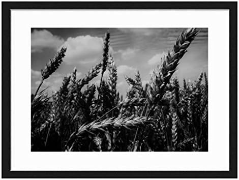 Tcrying Grain Field - Art Print Wall Black Wood Grain Wall Art Picture 20x14 Inches Framed