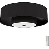 Hunter Fan 30 inch Matte Black - Indoor Fandelier with Light, Remote, Modern-Style, Ceiling Fan for Living Room, Bedroom, Mud