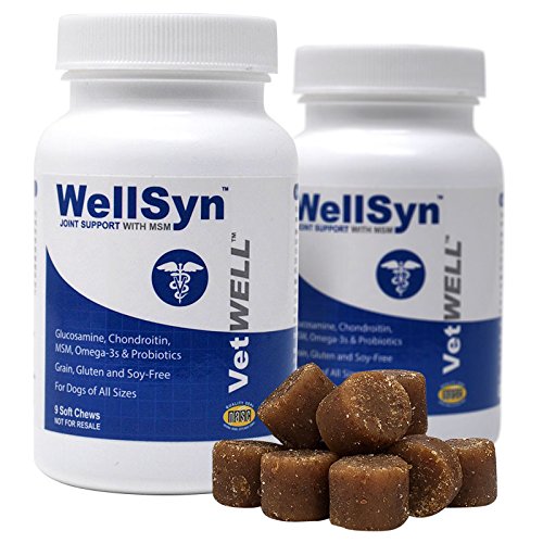 VetWELL Glucosamine Joint Supplements for Dogs - with Chondroitin, MSM, Omega 3s and Probiotics for Mobility, Healthy Skin, Shiny Coat, Digestive and Immune Health - WellSyn Soft Chews