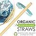 100% Biodegradable & Compostable Eco Friendly Long Wheat Straws - Pack of 250 - Natural and Disposable Drinking Straws - Better Alternative to Plastic, Paper, Stainless-Steel, Silicone & Glass Straws