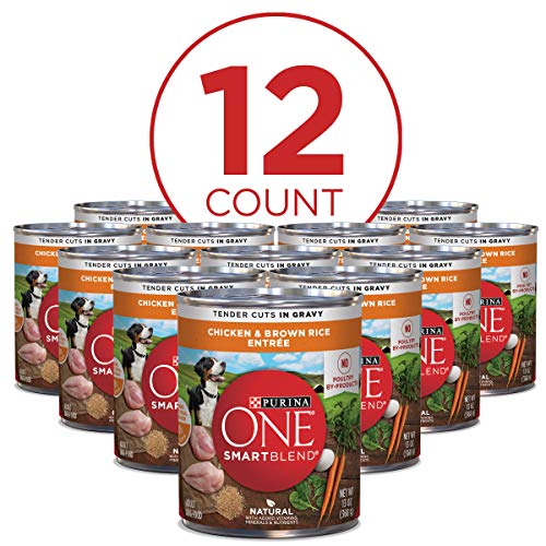 Purina ONE Tender Cuts In Wet Dog Food Gravy Chicken And Brown Rice