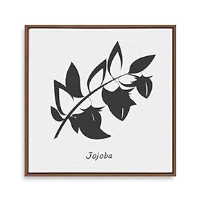 Framed Canvas Wall Art for Living Room, Bedroom Nordic Style Plants Theme Canvas Prints for Home Decoration Ready to Hang - 16x16 inches