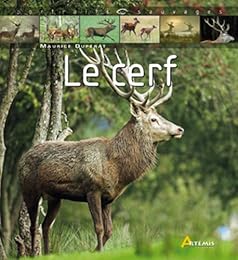 Le  cerf