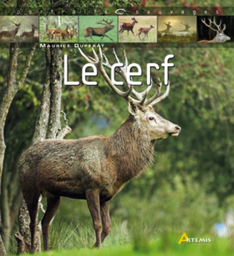 Le  cerf