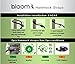 BLOOM Hammock Straps (Set of 2) + Free 2 Carabineers+Tree Friendly-Fast & Easy Setup Heavy Duty Adjustable 40 Loops
