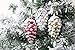 Yoland Frosted Plastic Pinecone Shape Shatterproof Luxury Christmas Ornaments Tree Garnish for Xmas, Party, Any Holiday Decorations 6Pcs ( 2.75'' Pinecone Shape, Gold)