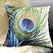 Fablegent XH1 - Elegant Decorative Throw Pillow Cover - Peacock Feathers Design on Both Sides (18
