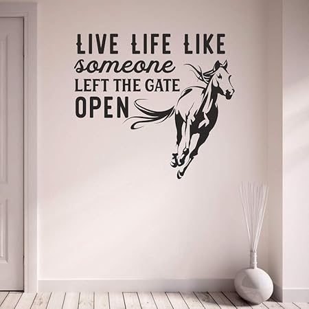 Amazoncom Horse Live Life Like Someone Left The Gate Open