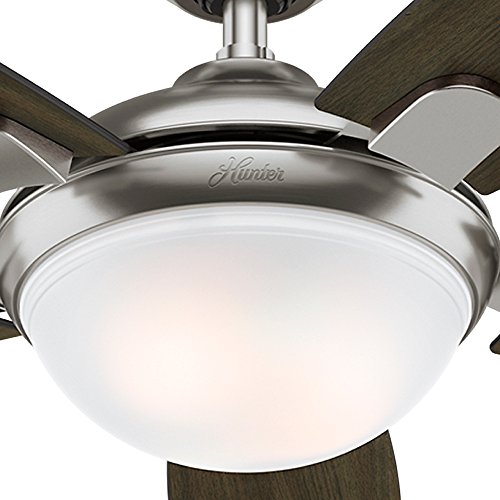 Hunter Indoor Ceiling Fan With Light And Remote Control Contempo