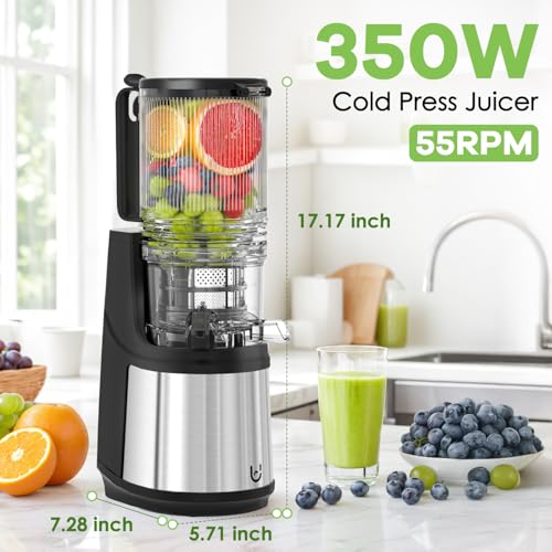 Masticating Juicer