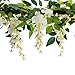 Felice Arts 2 Pcs White Artificial Wisteria Flowers Garland Fake 6.6 Feet Wisteria Vine Green Leaf Hanging Flower for Wedding Arch Party Garden Wall Floral Table Runner Backdrop Outdoor Decor