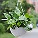Garden Pots 2 Set, Petforu Hanging Flower Basket Empty Flowerpot Plant Hooks Hangers - White