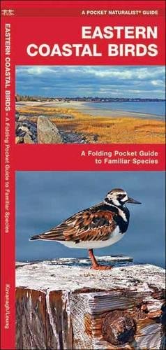 Download Eastern Coastal Birds: A Folding Pocket Guide to Familiar Species (A Pocket Naturalist Guide) Download Eastern Coastal Birds: A Folding Pocket Guide to Familiar Species (A Pocket Naturalist Guide)
