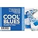Icy Cools Cool Blues, Reusable Ice Cubes for your Drink