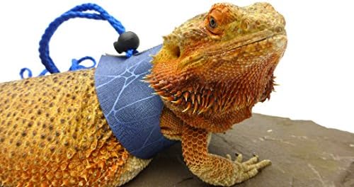Ogle Lizard Leash, Limited Edition Blue Web (extra-large size)