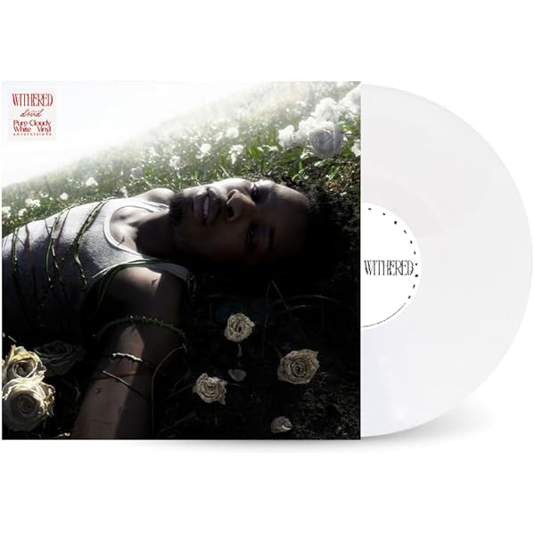 d4vd Petals to Thorns レコード直輸入品 d4vd Petals to Thorns アナログレコード - メルカリ