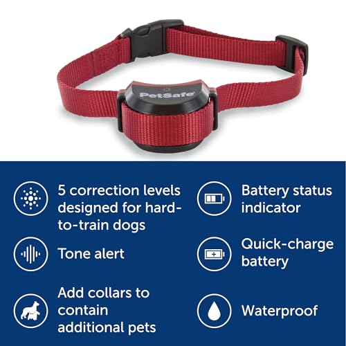 PetSafe Stay and Play Wireless Pet Fence for Stubborn Dogs from