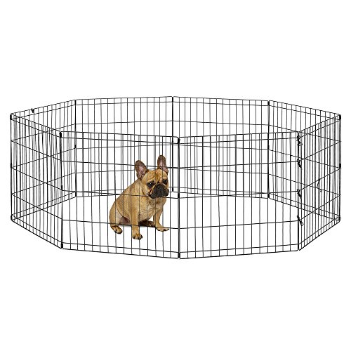 New World 24-Inch Exercise Pen