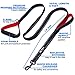 tobeDRI Heavy Duty Dog Leash - 2 Padded Handles, 6 feet Long - Dog Training Walking Leashes for Medium Large Dogs (Black)