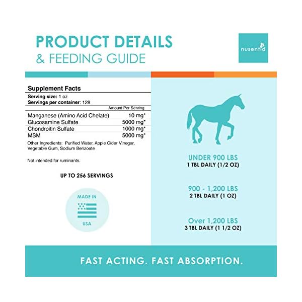 Horse Joint Supplement New Larger Size (1 GAL) Equine Glucosamine Chondroitin & MSM for