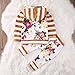 2pcs Girls Hooded Sweatshirt Tops Floral Pants Baby Take Home Outfits Costume (0-3 Months, Yellow)