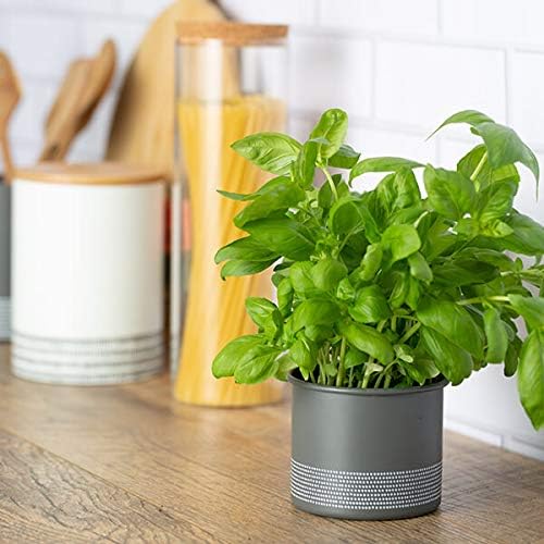 Typhoon Monochrome Herb Planter Grey, 9cm - Image 4