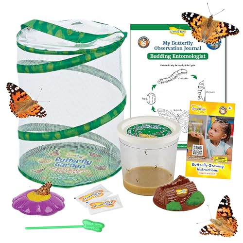 Insect Lore Butterfly Garden with 5 Live Baby Caterpillars